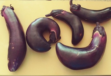 IMG00151_HDR