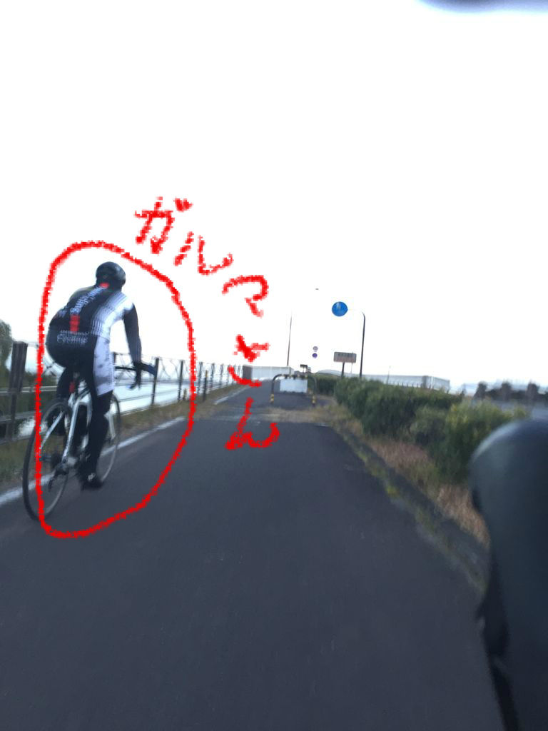 ガルマさん ビワサイ朝練がやりたいです スラムダンク三井寿風 つぼがおさえるロードバイクのつぼ