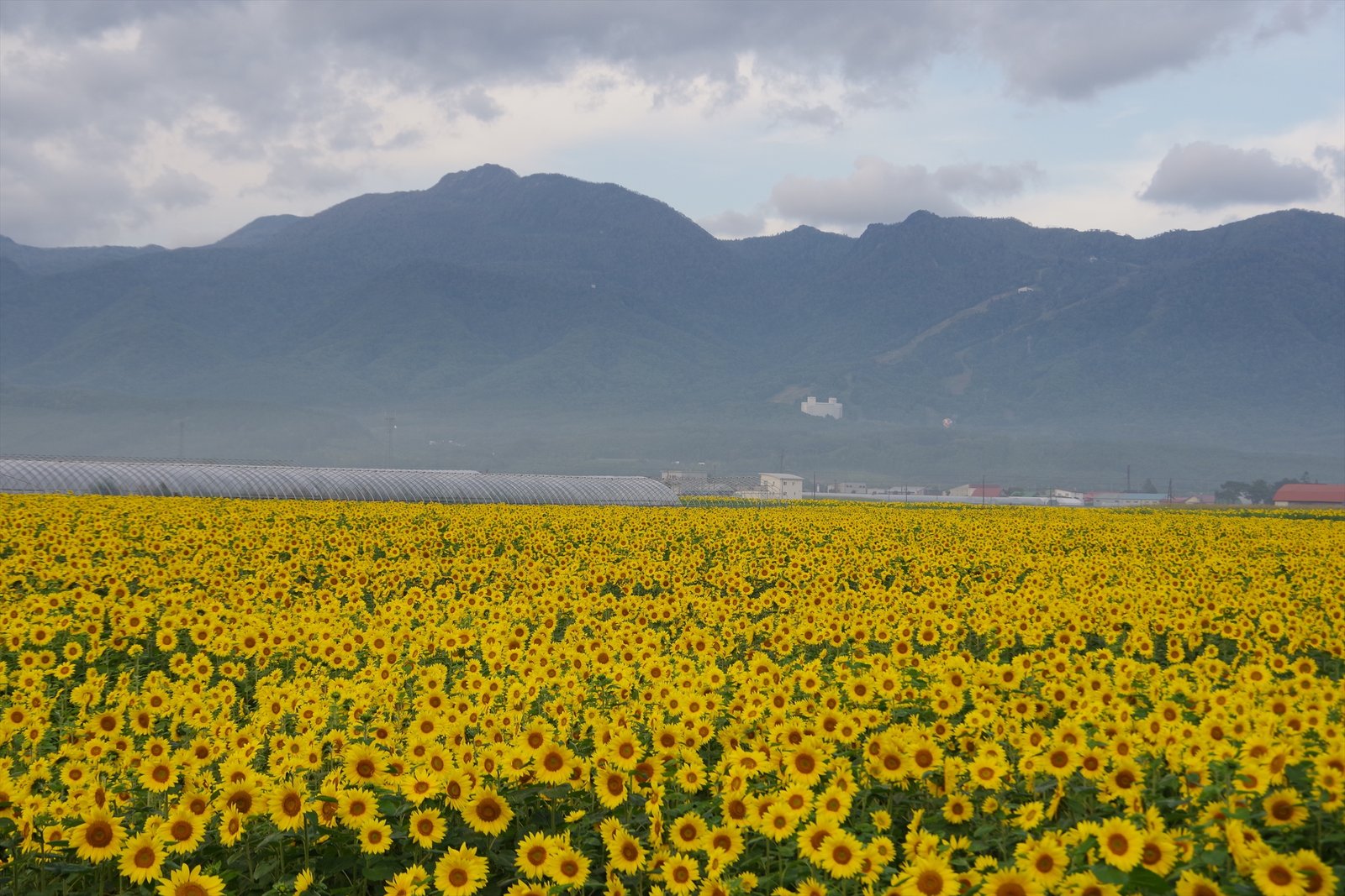 北海道駅巡り富良野線編その1 18年9月 つぼすけの日本どこでも放浪記