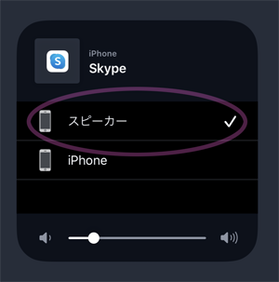 skype6