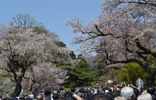 皇居乾通り一般公開