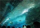 COEX水族館