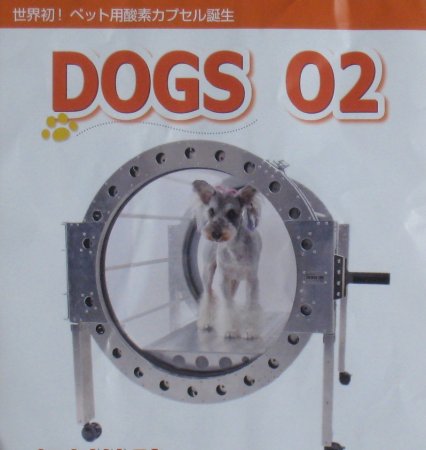 dogcapsel