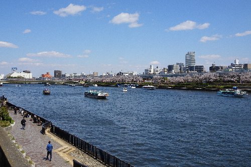 押上のスカイツリーから、向島芸者さんの「芸妓茶屋」、浅草の浅草寺までの散歩