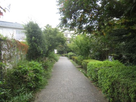 谷川緑道