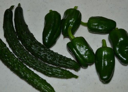 ベランダ菜園のキューリとピーマンの収穫