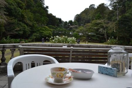 鎌倉 旧華頂宮邸 秋の施設公開 一階のテラスでコーヒーや紅茶
