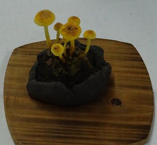 バードカービングサークルの作品展 横浜市の浦島丘中学校のコミュニティハウスまつり