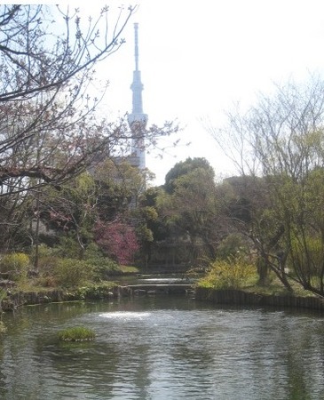 向島百花園からのスカイツリー