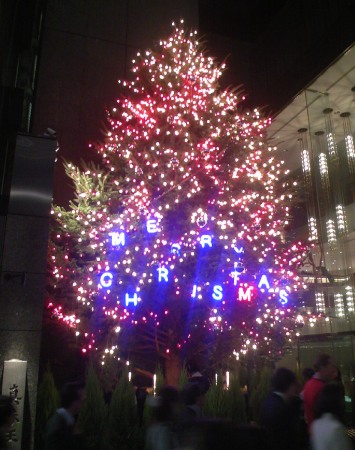 銀座ミキモト クリスマスツリー