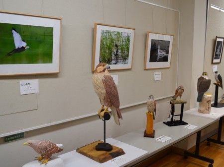 野鳥に親しむ・バードカービング作品展2011