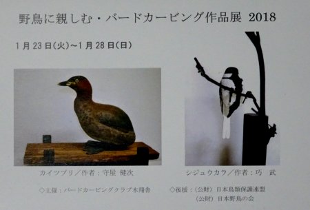 「野鳥に親しむ・バードカービング作品展2018」新宿御苑インフォメーションセンター