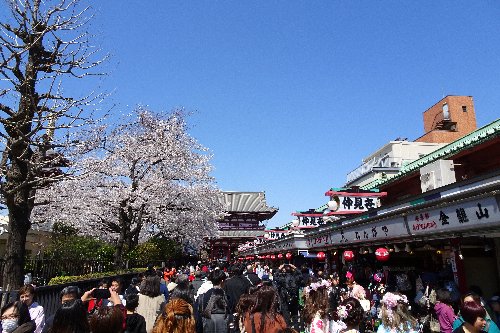 押上のスカイツリーから、向島芸者さんの「芸妓茶屋」、浅草の浅草寺までの散歩