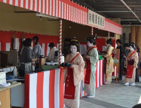 隅田川の桜祭り 向島芸者さんの茶店
