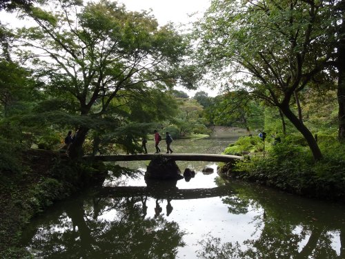 六義園 11月17日土曜日からライトアップ