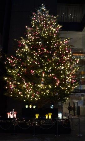 銀座のミキモトのイルミネーション