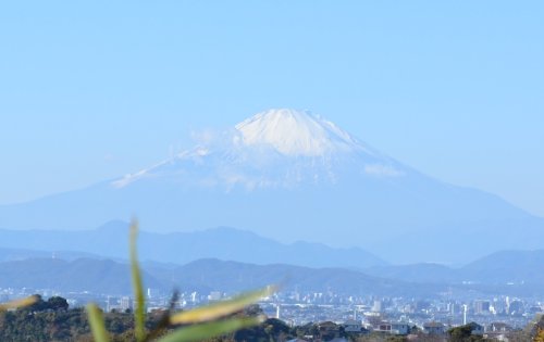 鎌倉山から富士山
