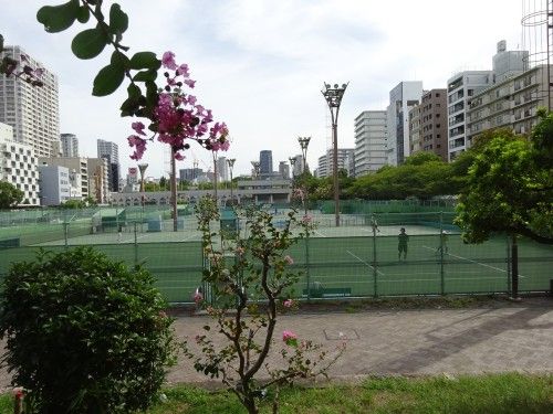 靭公園を散歩