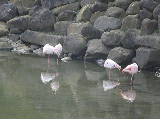 那須サファリパーク