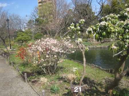 向島百花園
