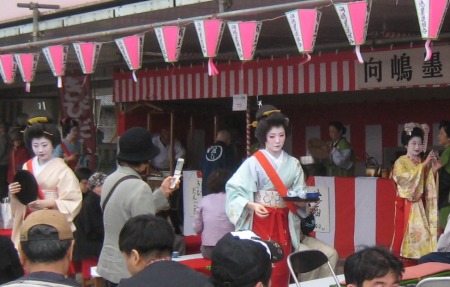 隅田川 向島芸者さんの「茶店」