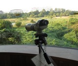 東京港野鳥公園の望遠鏡 画像