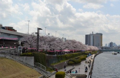 桜橋を渡って浅草側へ
