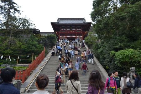 鎌倉 鶴岡八幡宮