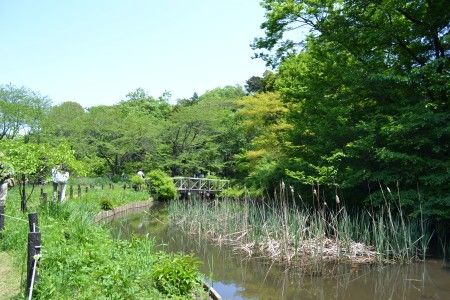 目黒の附属自然教育園