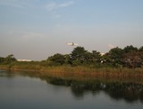 東京港野鳥公園 飛行機 画像