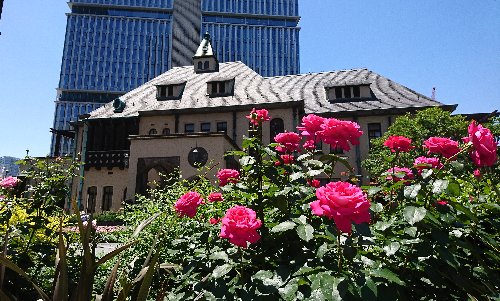 赤坂プリンス クラシックハウス(旧李王家邸(赤坂プリンスホテル 旧館))のバラがきれいでした