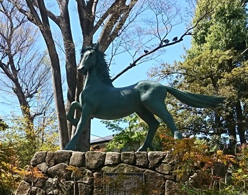 洗足池を散歩
