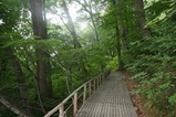 ミニ白神 散策コース