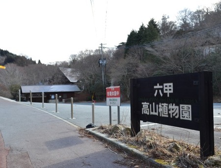 六甲山 植物園