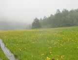 尾瀬ヶ原