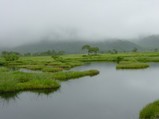 尾瀬ヶ原