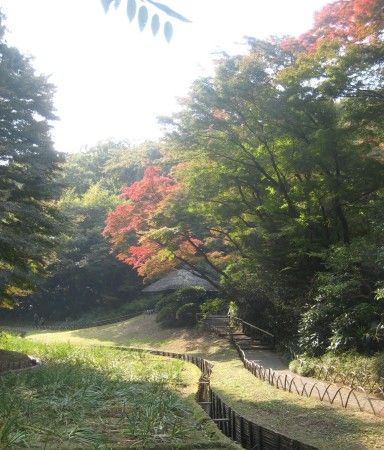 明治神宮 御苑 紅葉