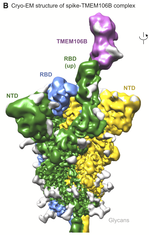 Baggen2023FIg3B