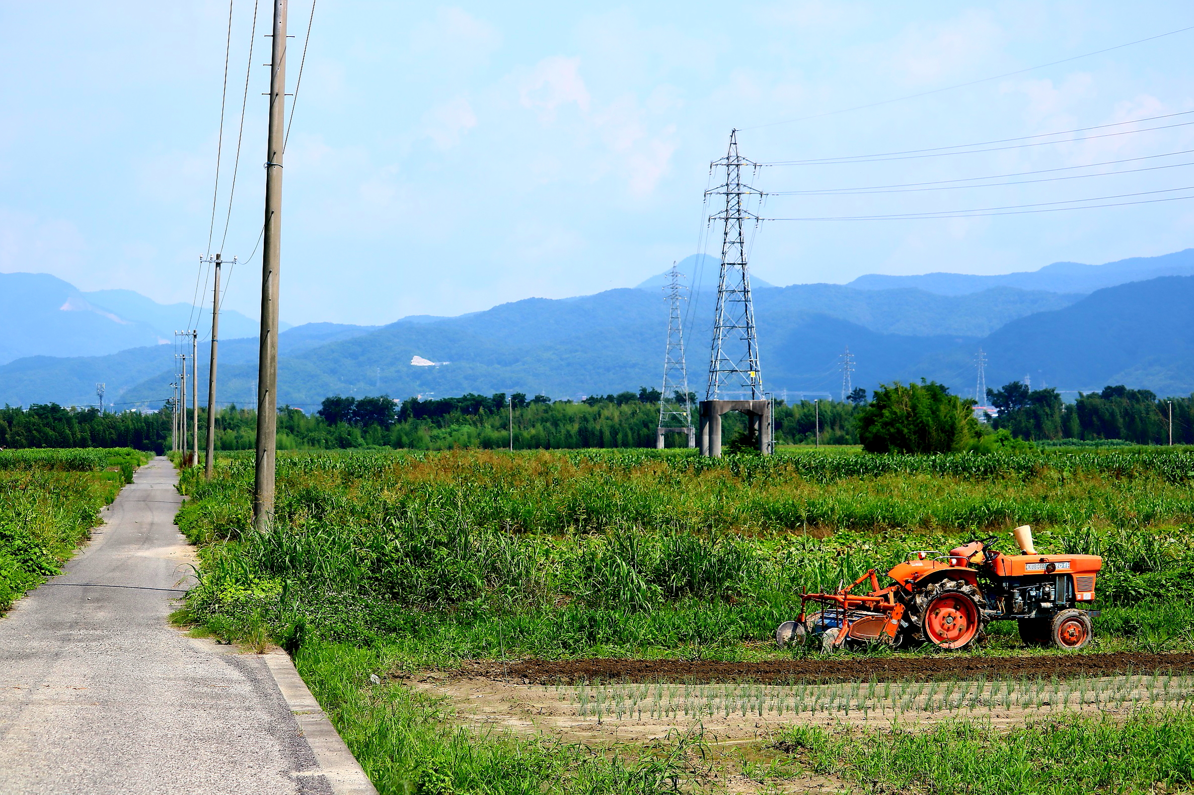 畑の一本道です つちくれ無料写真館 畑の一本道です つちくれ無料写真館