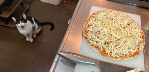 pizzaandhachi