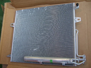 DSCF8829