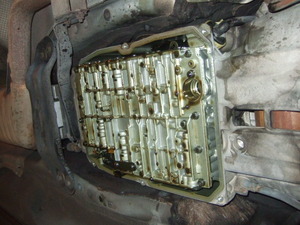 DSCF6984