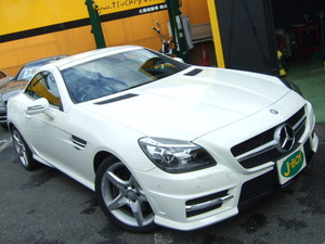 DSCF6509