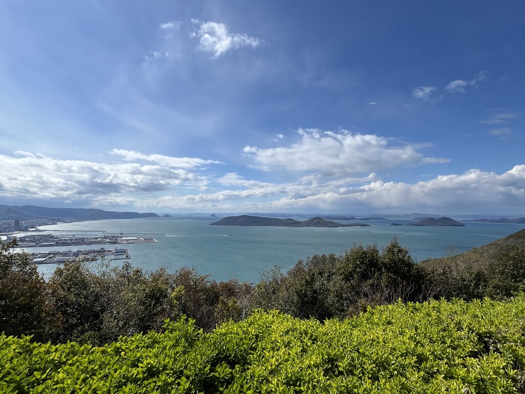 超限定15日20 時迄‼️不世出の超絶鳳凰＆賢人竹林図赤藍九谷赤呉須大鉢1客木箱入 月岡芳年 三国志図会内 玄徳風雪ニ孔明ヲ訪フ 三枚続/TSUKIOKA