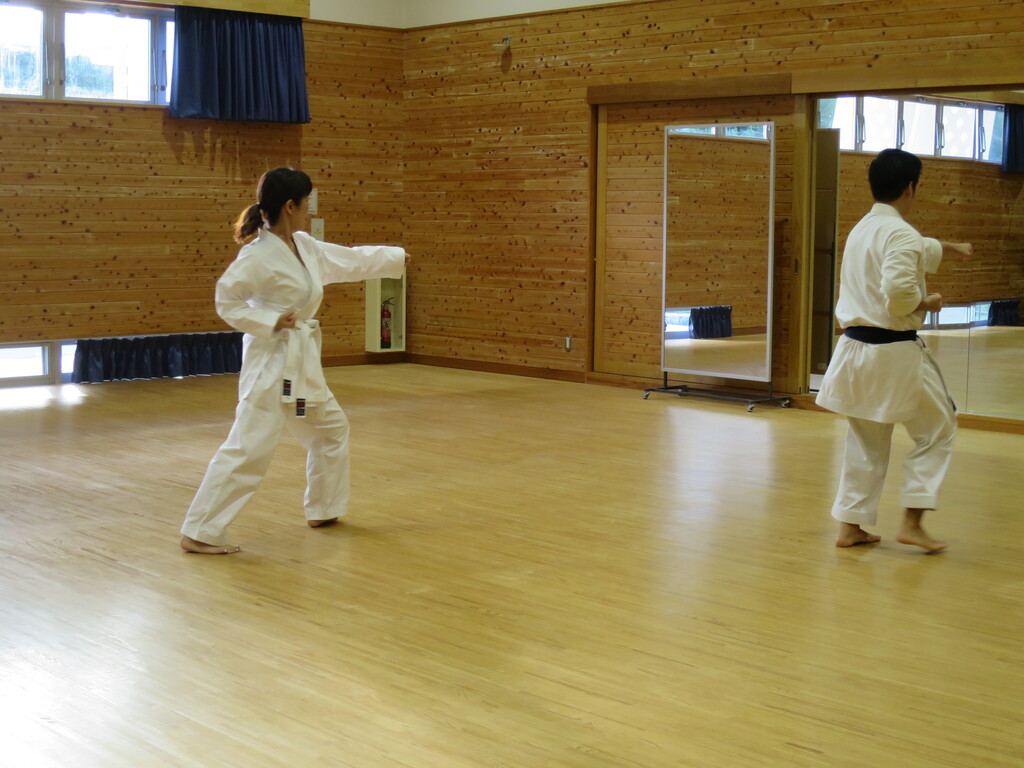 沖縄空手手道 概説・沖縄空手手道 沖縄空手手道 概説・沖縄空手手道