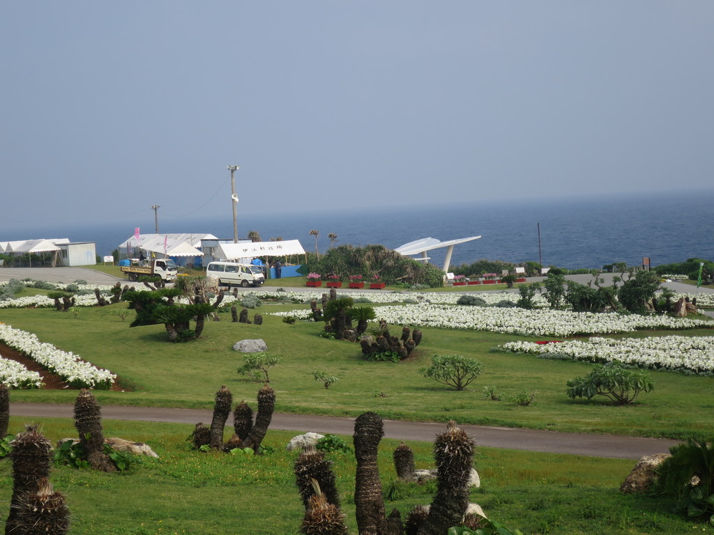 伊江島 ゆり祭りとハイビスカス園 沖縄 津田千枝 ブログ 伊江島 ゆり祭りとハイビスカス園 沖縄 津田千枝 ブログ