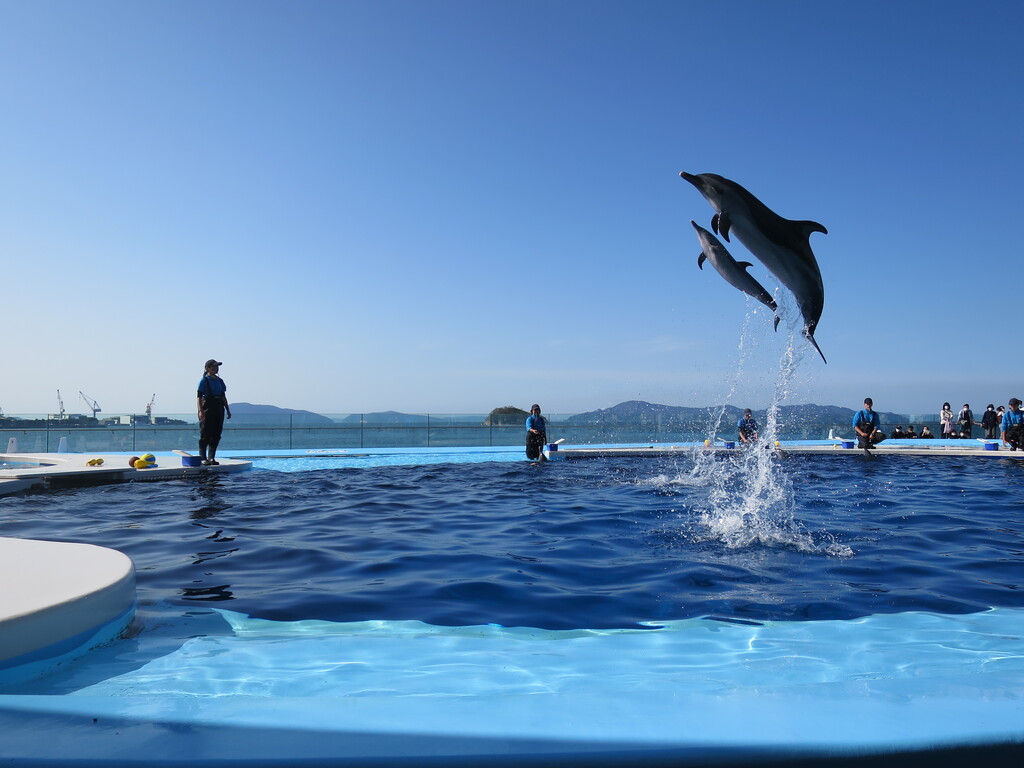 四国水族館 宇多津 香川 津田千枝 ブログ 四国水族館 宇多津 香川 津田千枝 ブログ