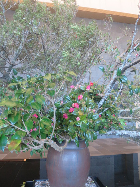 IMG_7997