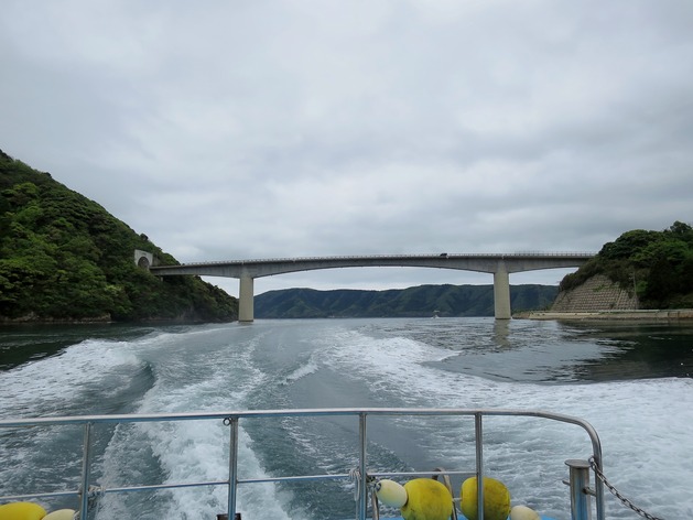 IMG_5685 (2)
