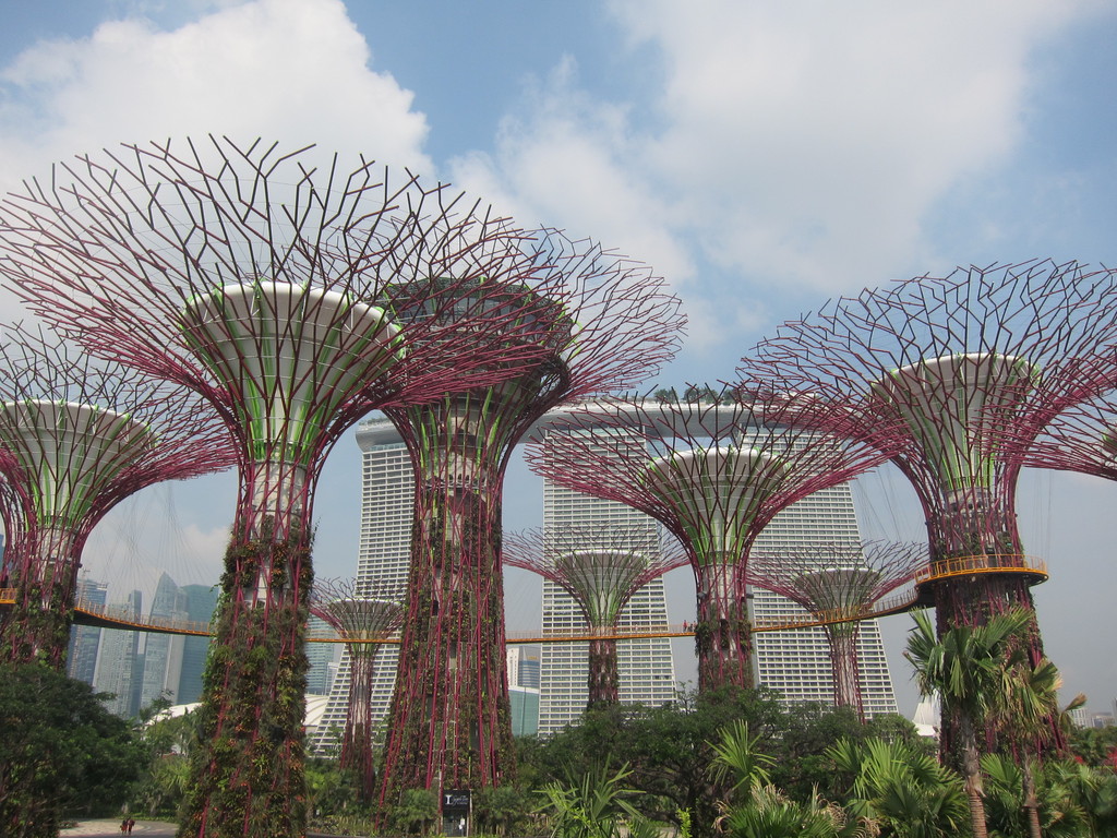 ガーデンズ バイ ザ ベイ Gardens By The Bay シンガポール 津田千枝 ブログ ガーデンズ バイ ザ ベイ Gardens By The Bay シンガポール 津田千枝 ブログ